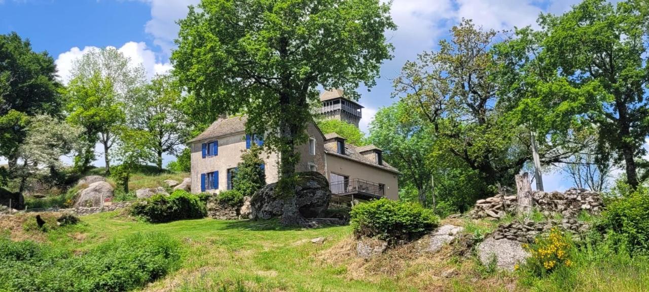 Gite A La Tour De Peyrebrune Alrance Dış mekan fotoğraf